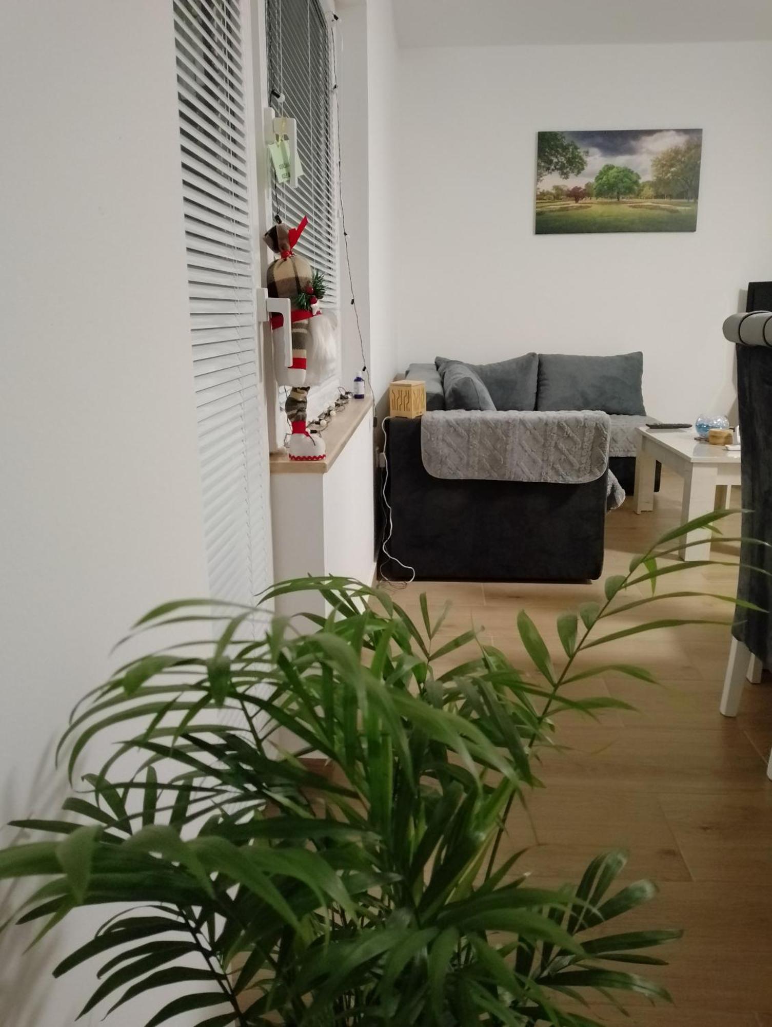 Apartman Dve Lipe Palić Exterior foto